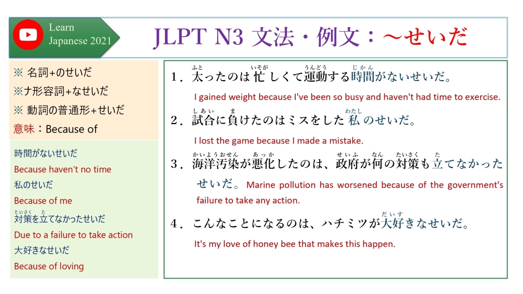 JLPT N3 文法・例文：～せいだ